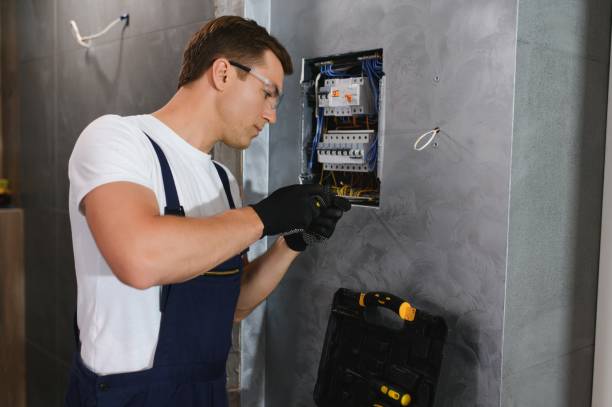 Best Electric Panel Repair  in Sugarmill Woods, FL